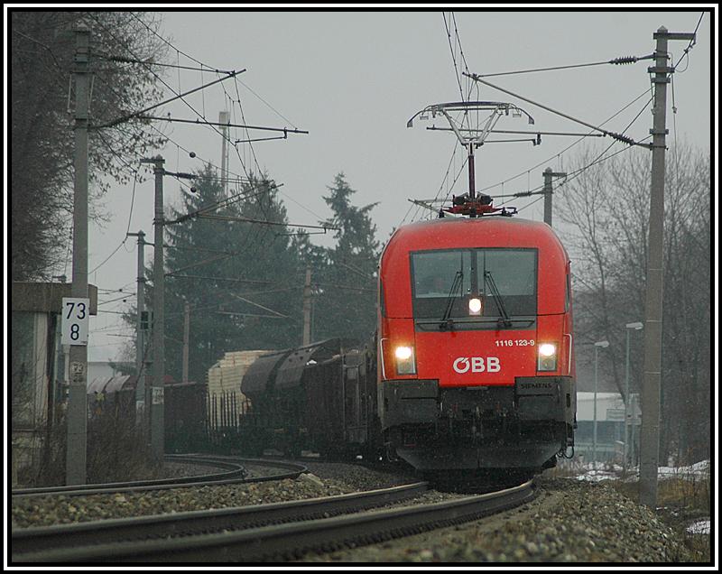 1116 123 mit einem GZ kurz vor Gloggnitz am 26.2.2006. Alles andere als optimal waren an diesem Tag die Wetterverh�ltnisse.