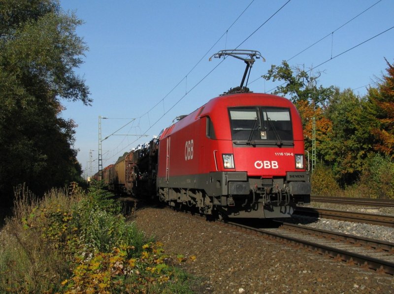 1116 134 mit einem Gterzug am 12.10.2008 in Haar.