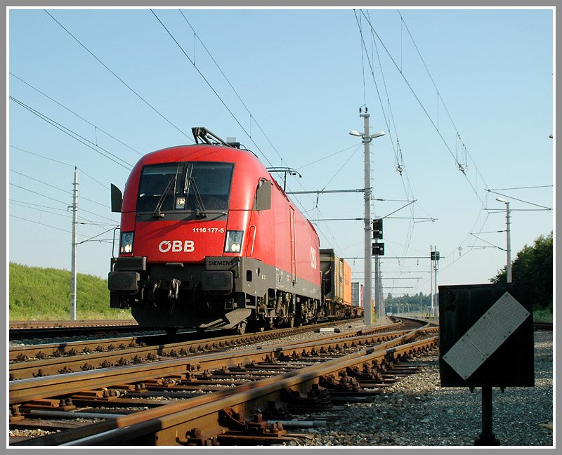 1116 177 am 5.7.2006 bei der Ausfahrt aus Kalsdorf-Sd mit einem Containerzug.