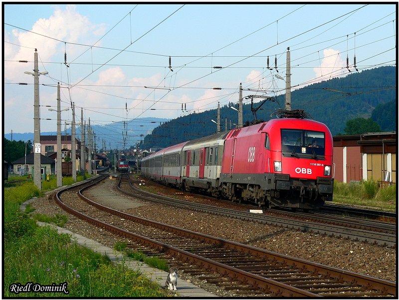 1116 207 fhrt vom falschen Bahnsteig aus, mit Kameramann am Zug und neugierige Katze neben den Gleisen. Knittelfeld 28.07.2008   
