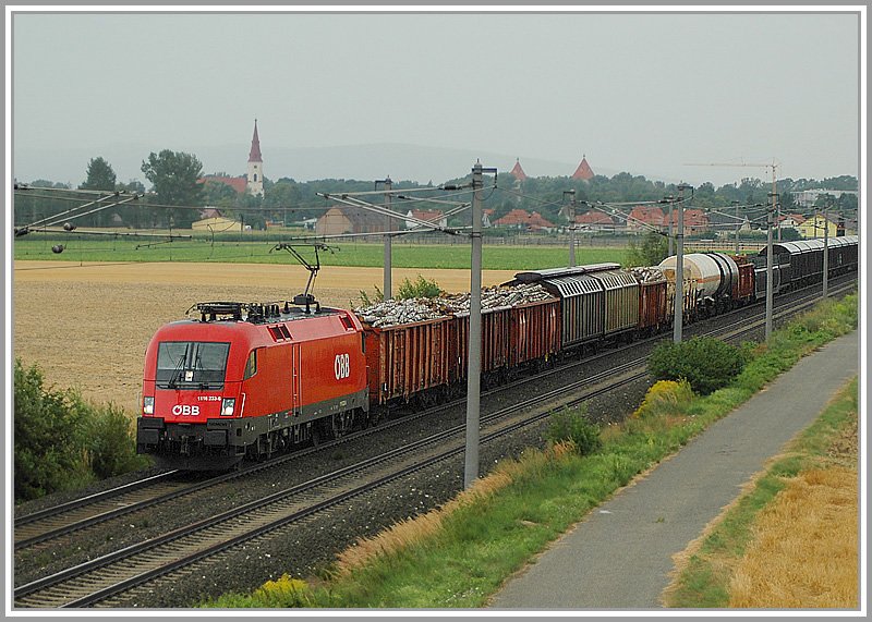 1116 233 mit ihrem Gterzug bei Ebenfurth am 4.8.2006.