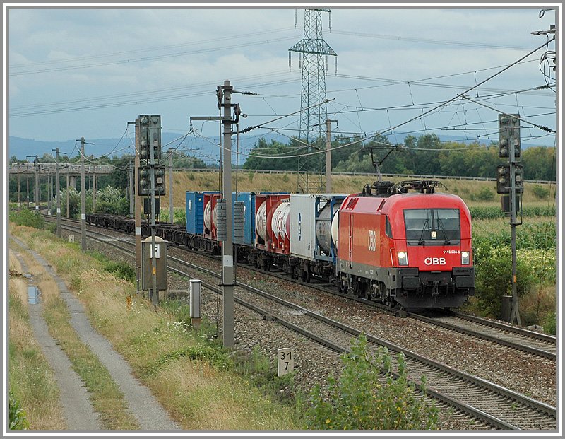 1116 238 am 4.8.2006 mit einem G�terzug kurz vor der Durchfahrt in Wampersdorf.