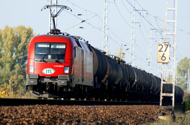 1116 239-3 in der Berliner Wuhlheide. 11.10.2008