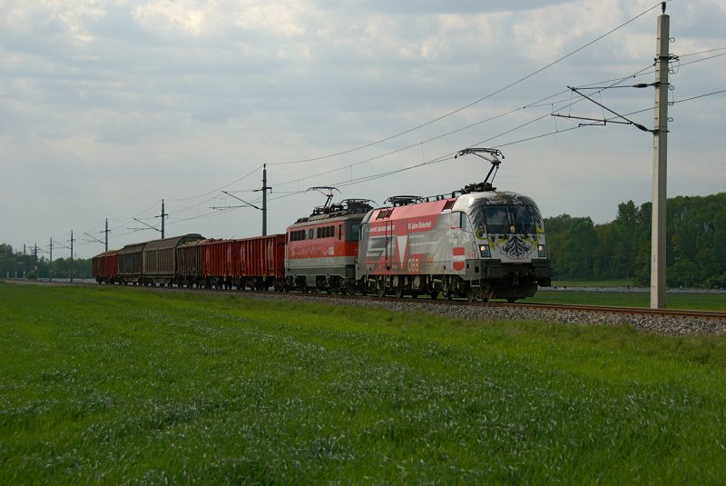 1116 246  Werbelok Bundesheer  und 1142 651 teilen sich die 7 Wagen redlich. Die Aufnahme entstand am 02.05.2009 zwischen Hausleiten und Stockerau.