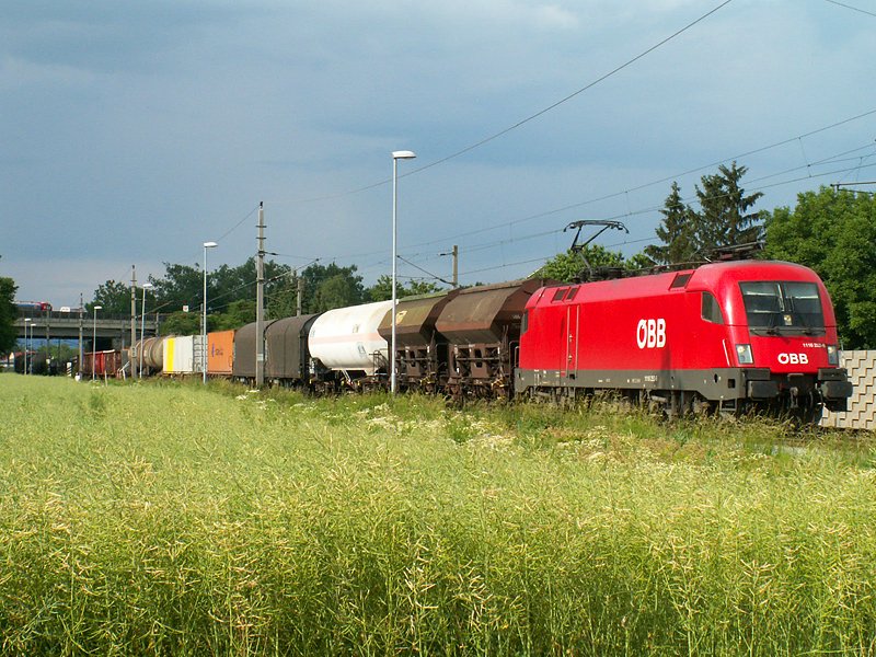 1116 252 mit einem gemischten Gterzug kurz nach Ansfelden Richtung Kirchdorf/Krems (7.6.2008)