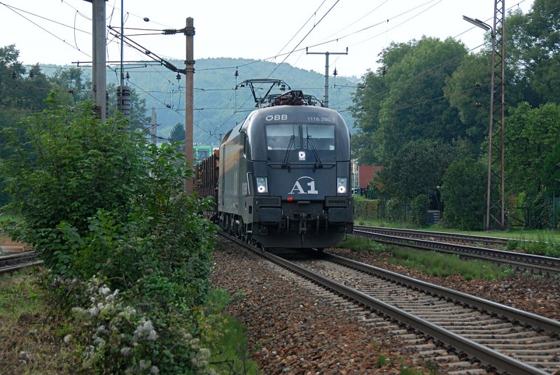 1116 280  A1  bringt vor einem Gterzug in Richtung Wien. Die Aufnahme entstand am 18.09.2009 kurz vor Unter Purkersdorf.