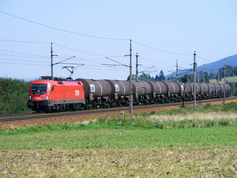 1116.281 am 20.08.2009 bei Neulengbach.