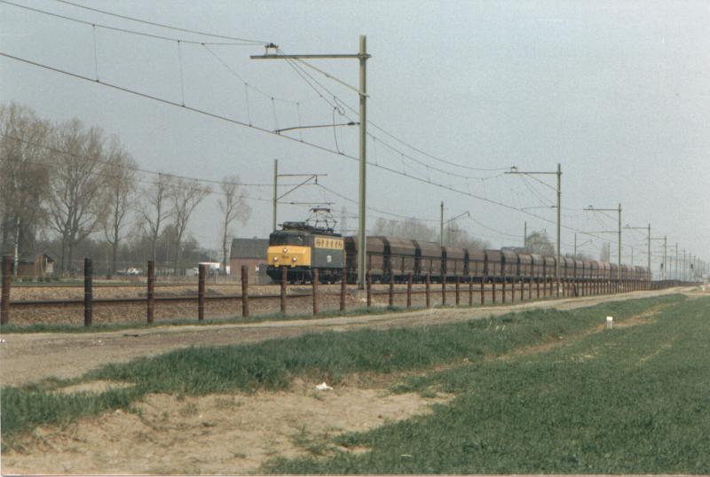 1134 bei Linne 1983