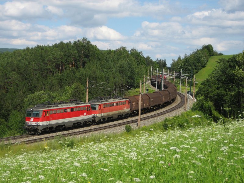1142 625 & 1142 589 bepsannten am 21.7.2008 einen Shimms-Ganzzug �ber den Semmering, hier kurz nach Eichberg. (Steinbauerwiese)