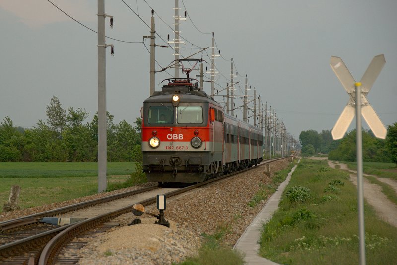 1142 667 war am 30.04.2009 am ER 9314 von Stockerau nach Gmnd N unterwegs. Die Aufnahme enstand kurz vor Absdorf-Hippersdorf.