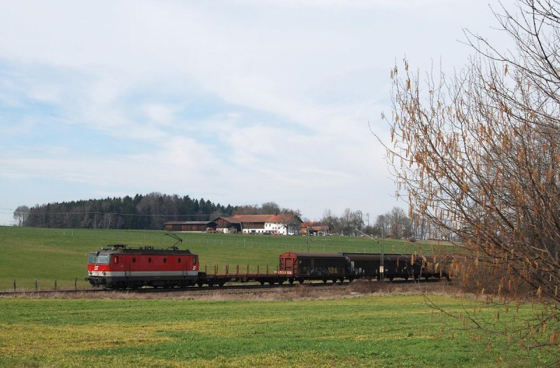 1144 200 mit einem Gterzug bei Grokarolinenfeld (06.03.2007)