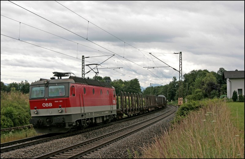 1144 231 (9181 1144 231-8) bringt einen gemischten Gterzug zum Rangierbahnhof Mnchen Nord. (09.07.2008)
