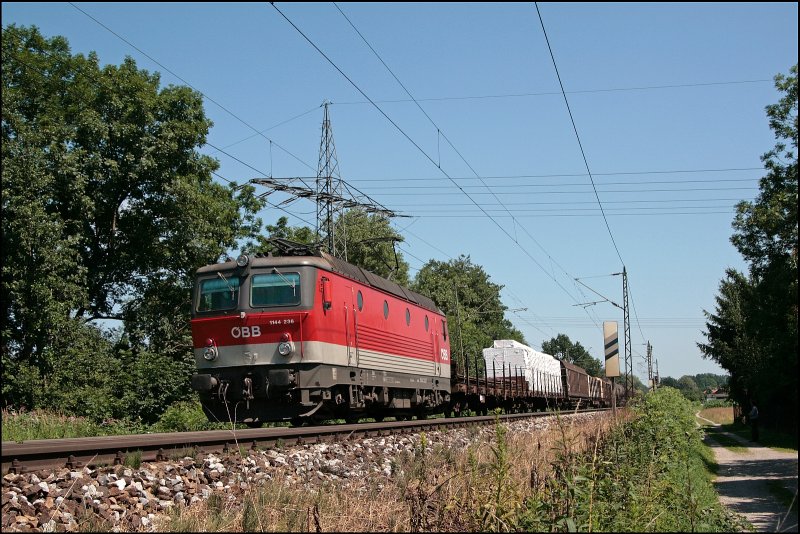 1144 236 (9181 1144 236-7) bringt einen gemischten Gterzug von Mnchen Nord in Richtung Brenner. (11.07.2008)

