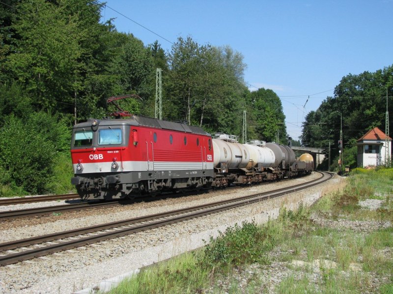 1144 239 mit einem Gterzug am 19.8.2008 in Aling.