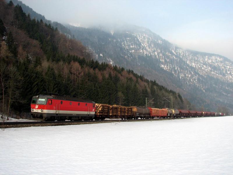 1144 261 mit G�terzug vor Niederaudorf (25.02.06)