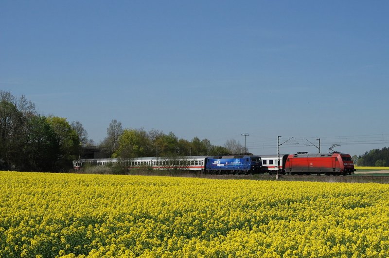 120 151 (ZDF express) mit IC 327 und 101 xxx mit IC 2296 bei Mammendorf (19.04.2007).
Was fr ein Glck, wre die 101'er auch eine Werbelok gewesen!!!