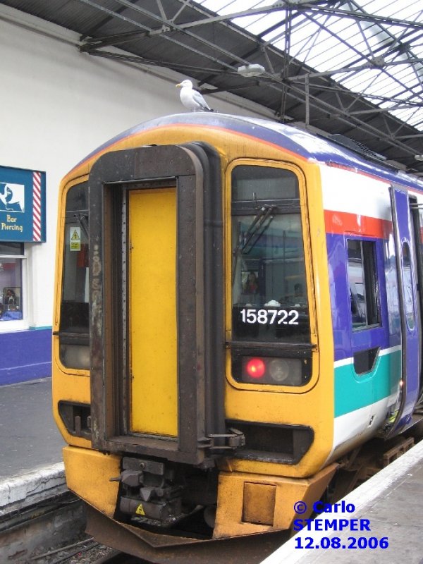 12.08.2006 Die Mwe fhlt sich offensichtlich wohl im Bahnhof Inverness.