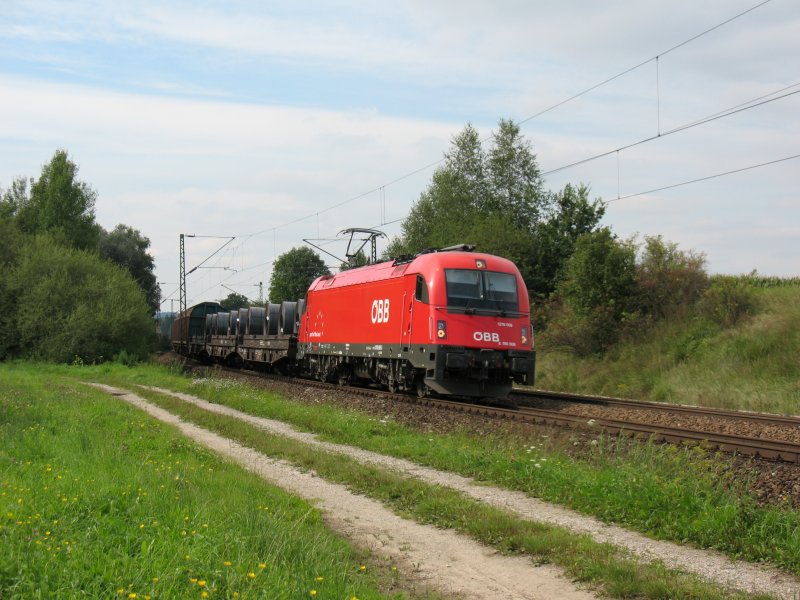 1216 008 oder E190 008 am 23.8.07 bei Weiching