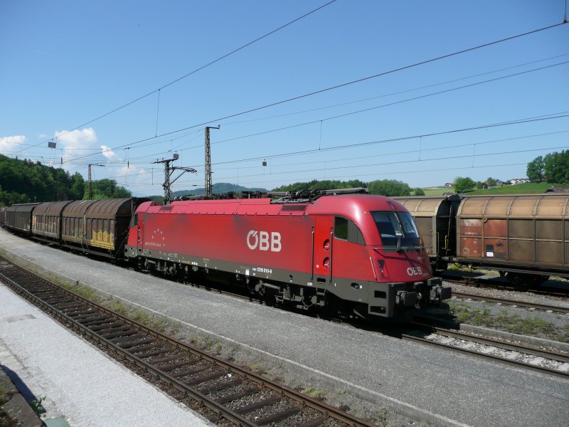 1216 mit Gterzug in Hallwang-Elixhausen am 14.5.2008.