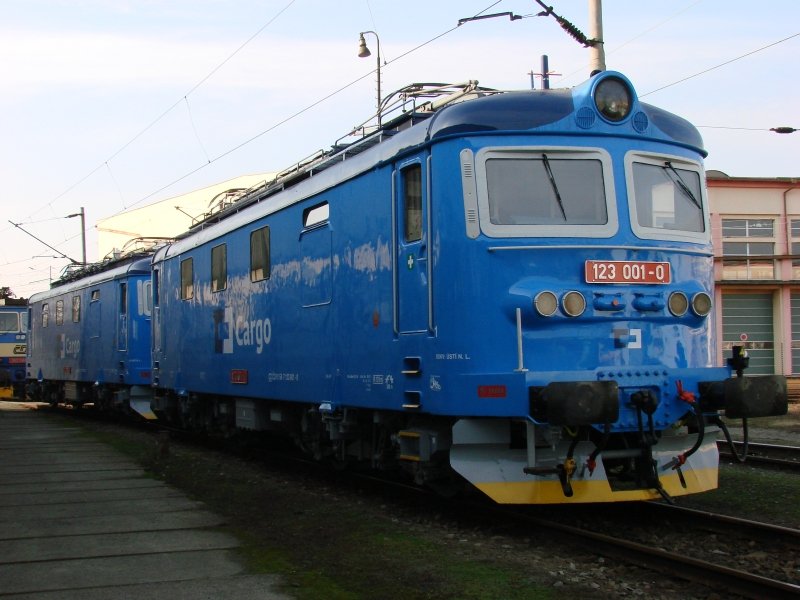 123 001-0 und 122 028-4 am 10.02.2008 in Usti nad Labem zapad