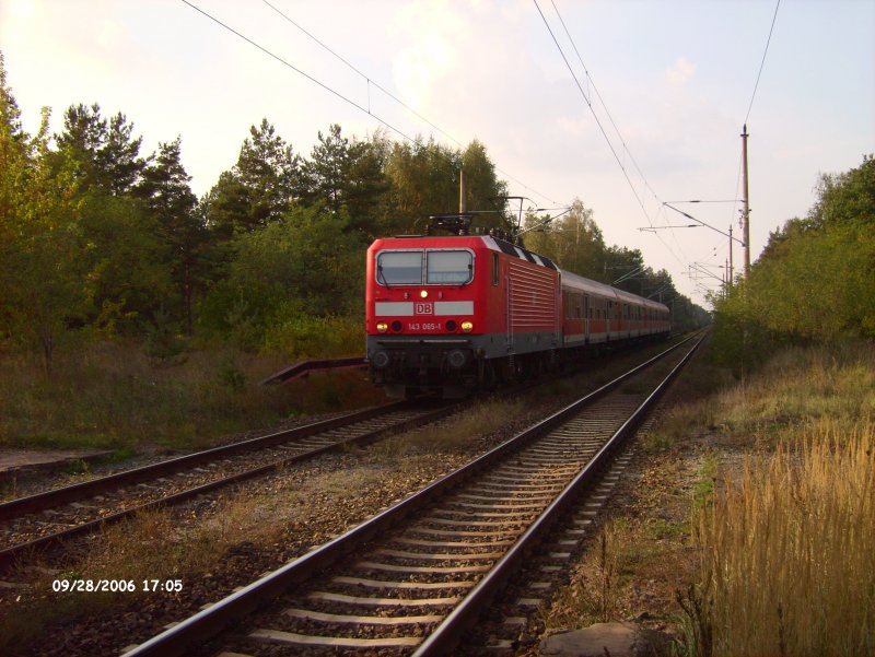 143 065 zieht ein RB11 Cottbus und erreicht gleich Eisenhttenstadt.28.09.06