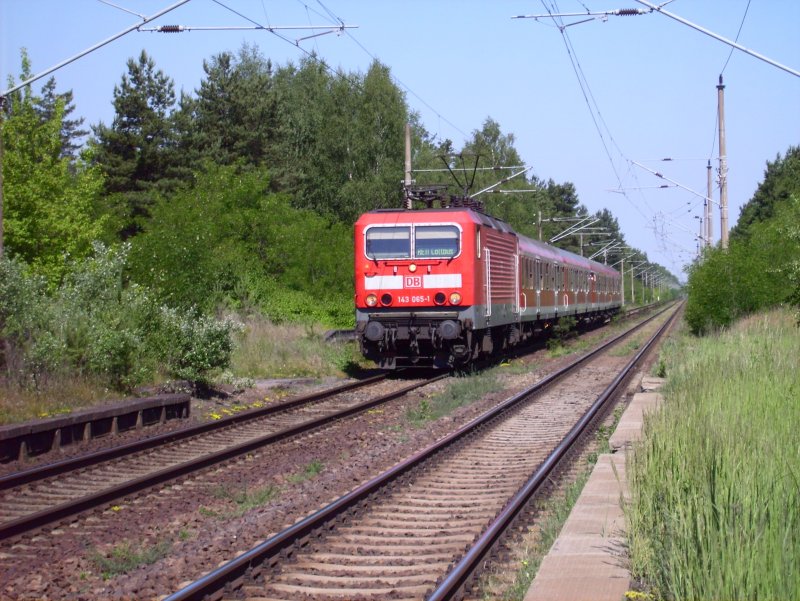 143 065 zog den RB 11 Cottbus am Nachmittag des 14.06.06 kurz vor Eisenhttenstadt.