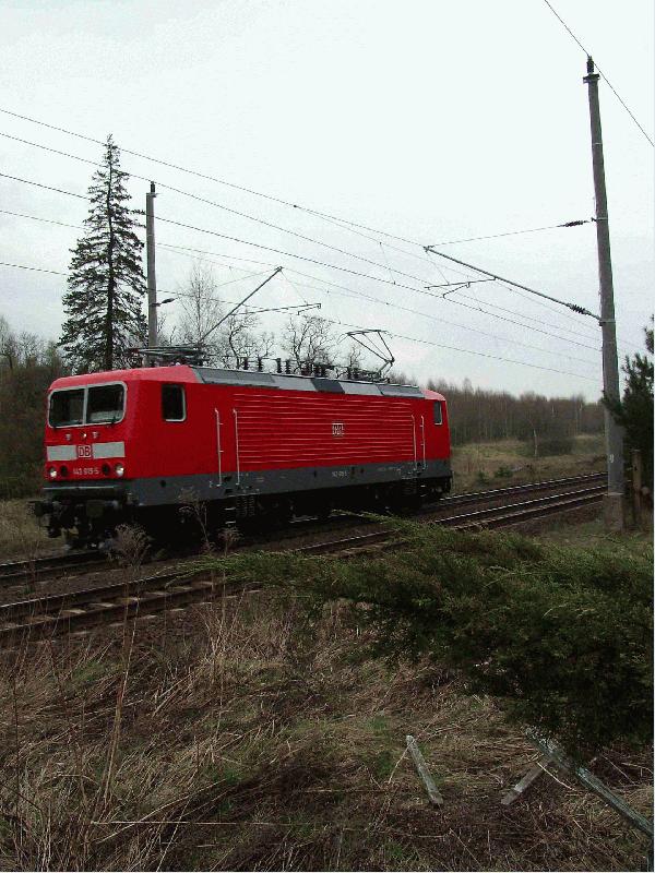 143 619 - 5 passiert als Leerlok am 11.04.2002 um 13.22 h den ehemaligen Bahnhof Borne, welcher weit abseits der gleichnamigen Ortschaft mitten im Naturschutzpark Hoher Flming liegt.   