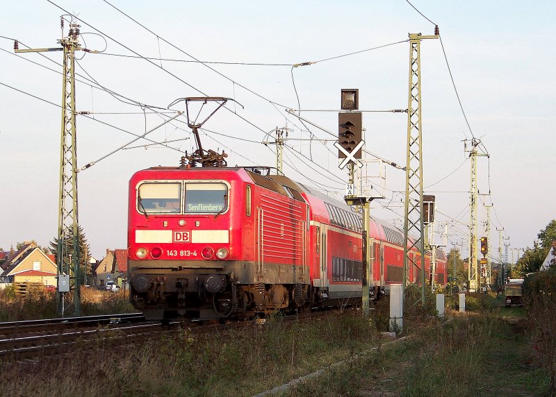 143 813-4 kommt hier mit einer Garnitur aus Schleswig Holstein auf der brandenburger-RB14-Linie. Hier ist sie gerade bei der Einfahrt in den Bahnhof von Lbbenau/Spreewald. 27.09.2009