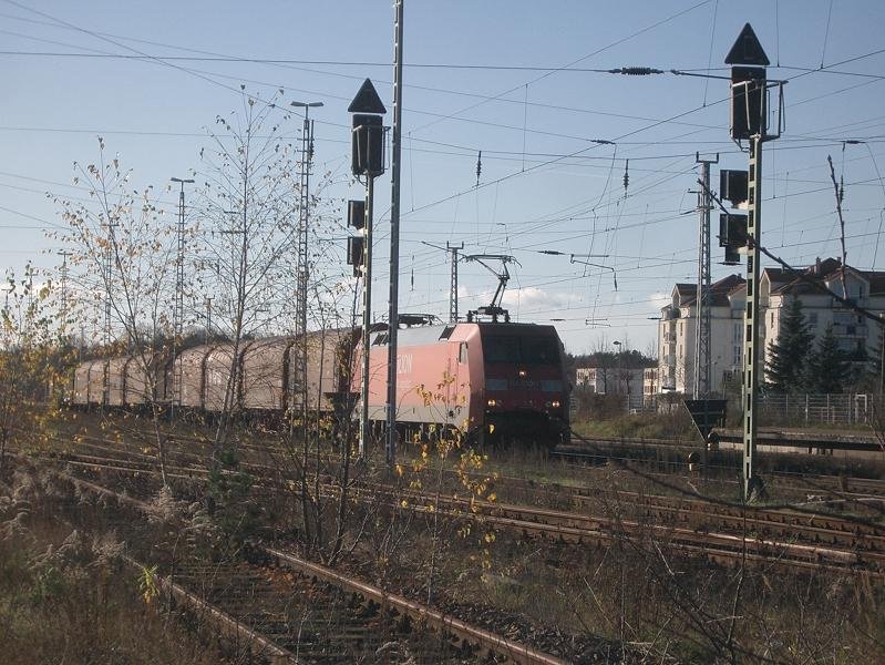 152 113-7 wartet mit einem kurzen Gterzug im Gestrpp auf Ausfahrt. Michendorf, 2008-11-17.