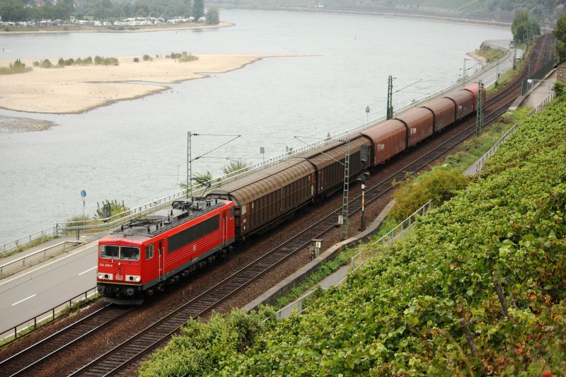155 206 zieht einen kurzen Zug aus geschlossenen Wagen den Rhein entlang in Richtung Wiesbaden und passiert hier die Weinberge kurz vor Assmannshausen. (10.09.09)