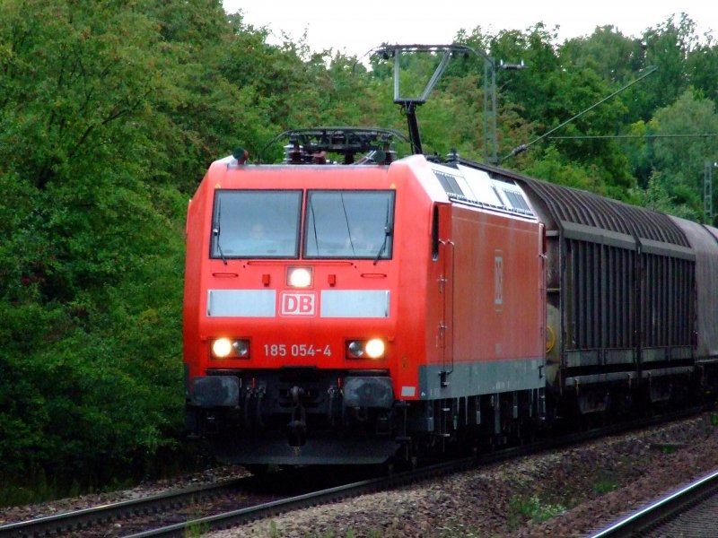 185 054 am 17.08.2007 bei der Durchfahrt durch Mausheim.