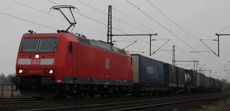 185 079-1 bei der Durchfahrt mit einem KLV-Zug am 31.01.09 Richtung Hamburg in Ashausen.