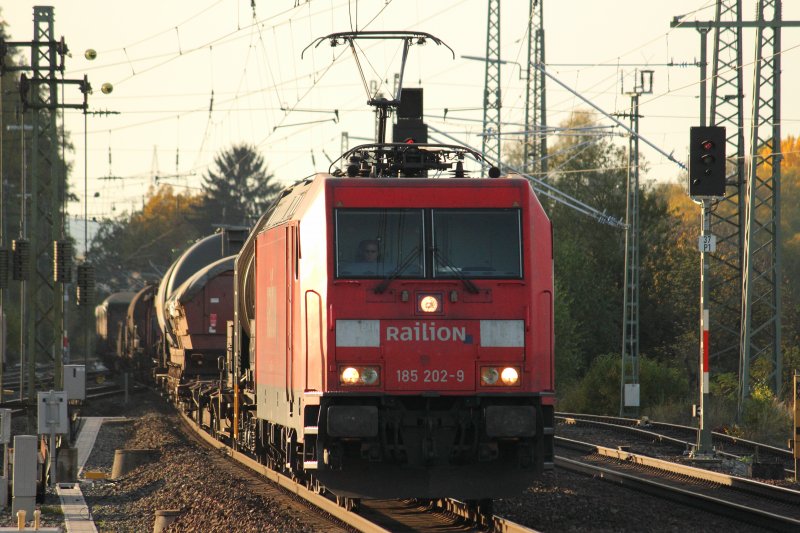 185 202-9 DB Schenker Rail in Hochstadt/ Marktzeuln am 19.10.2012.