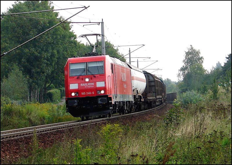 185 246-6 mit einem Gterzug unterwegs zum Rostocker Seehafen. (Stralsund am 07.09.06) 