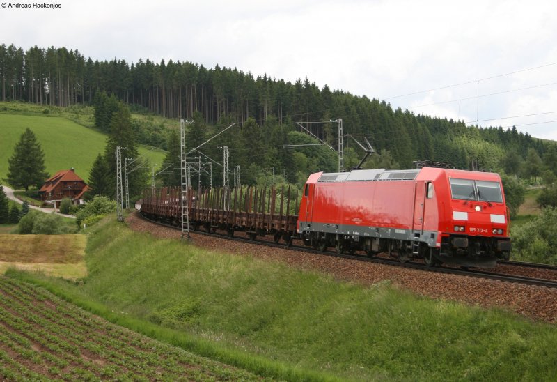 185 313-4 mit leeren Flachwagen die meist fr Milirtransporte benutzt werden am km 70,0 14.6.08