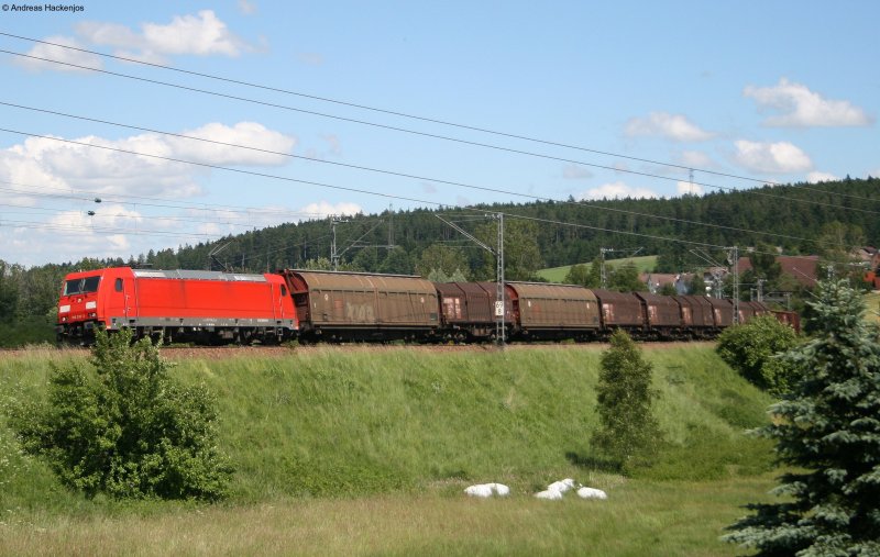 185 318-3 mit dem FZT 55834 am km 70,0 20.6.08