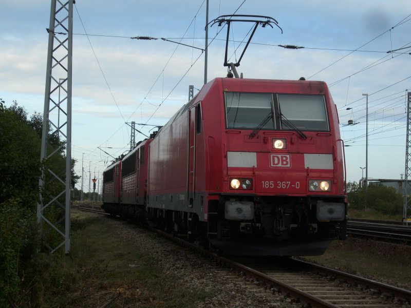 185 367 war am 31.August 2009 schon aufgebgelt um zu ihren Zug zufahren als ich Sie in Mukran fotografierte.
