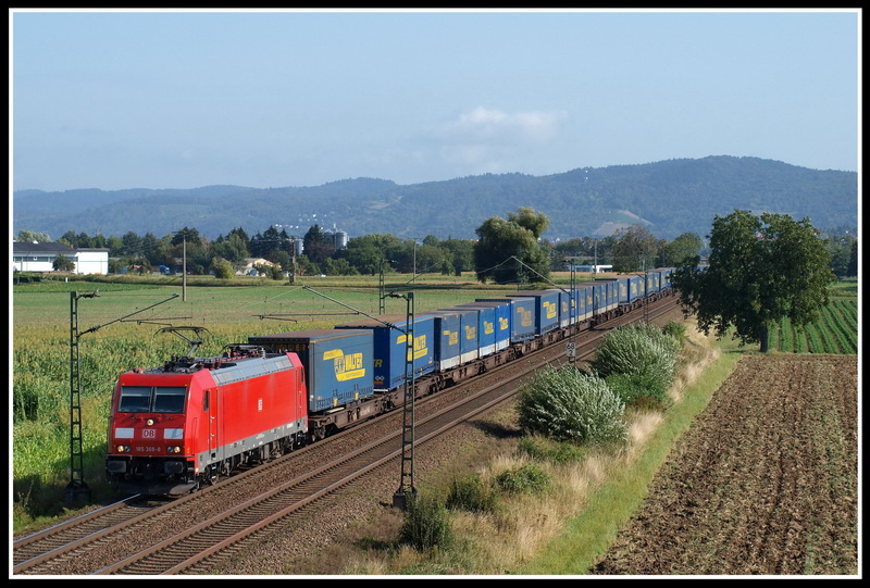 185 368 am Morgen des 6.9.2009 mit einem LKW-Walther Zug bei Gro�sachsen-Heddesheim. 
