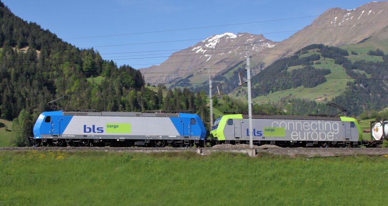 185 536 und 485 019 mit Gterzug oberhalb Kanderviadukt  (10.Mai 2007)