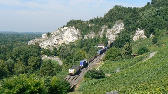 189 995SE von TXL mit einem Gterzug in Istein fuhr Ende Juli Richtung Basel.