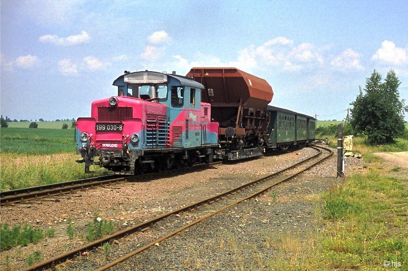 199 030  Dllnitz  (ex BB 2091 010) mit PmG in Naundorf (5. Juni 2000)