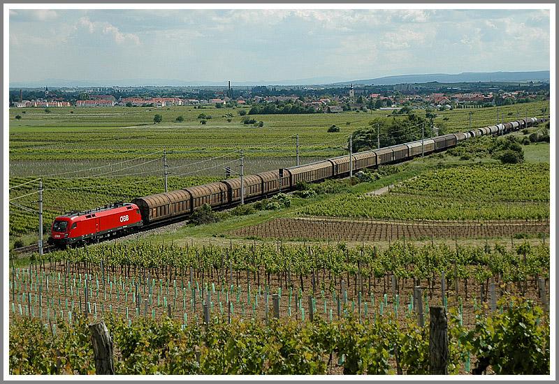 1X16 am 10.6.2006 mit einem Gterzug auf dem Weg nach Wien kurz nach Pfaffsttten und kurz vor Gumpoldskirchen.