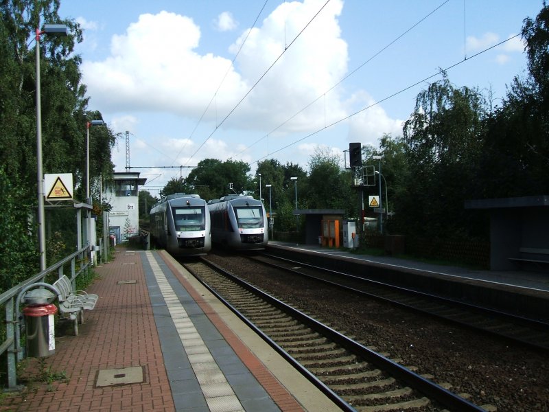 2 ABELLIO Lint`s als RB46  Bochum  nach Gelsenkirchen und RB46  Herne  nach Bochum begegnen sich in Bochum Nokia.(29.08.2007)
