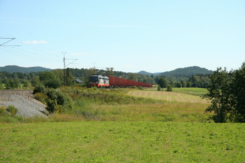 2 Hectorails (142 106-4 + 142 001-7) mit Holzleerzug in Richtung Westen am 28.7.2008 bei Torpshammar.