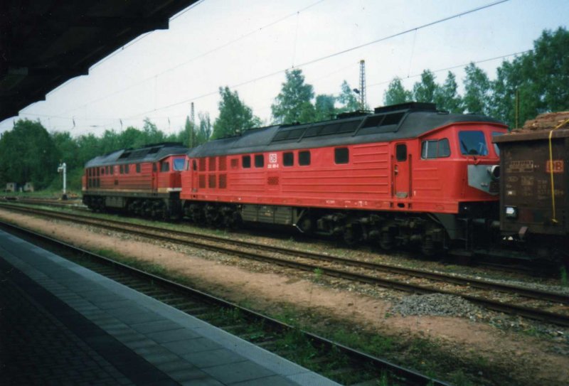 2 mal BR 232 im Bf Reichenbach/V eine in DR Farbgebung und die andere mit wei�em DB Latz! Aufgenommen im Mai 2000.