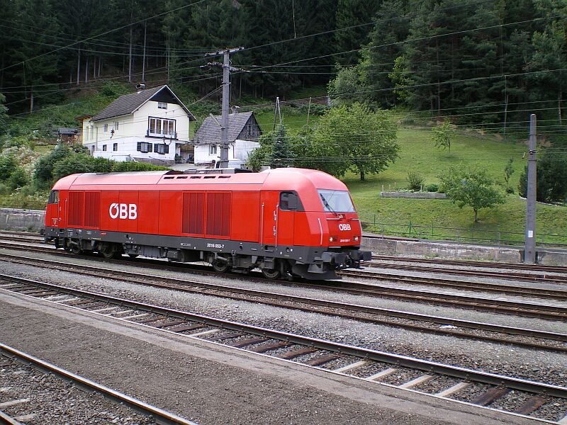 2016.053 am 05.07.2007 beim Umsetzen in Rosenbach