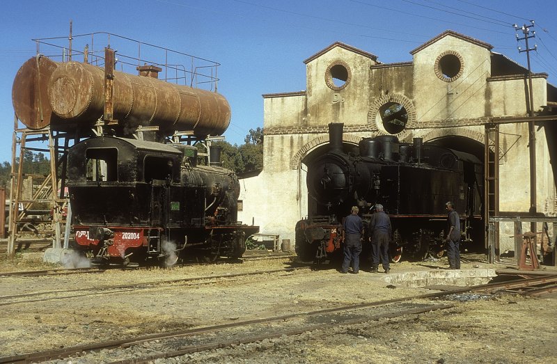 202 004 + 442 54 Asmara  06.02.05