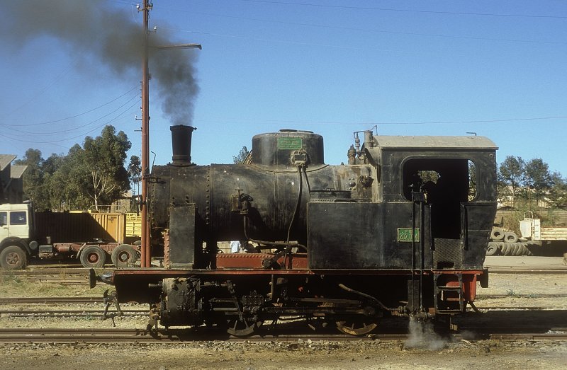 202 004  Asmara  06.02.05