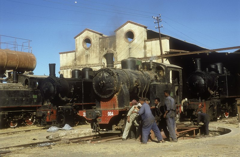 202 004  Asmara  06.02.05