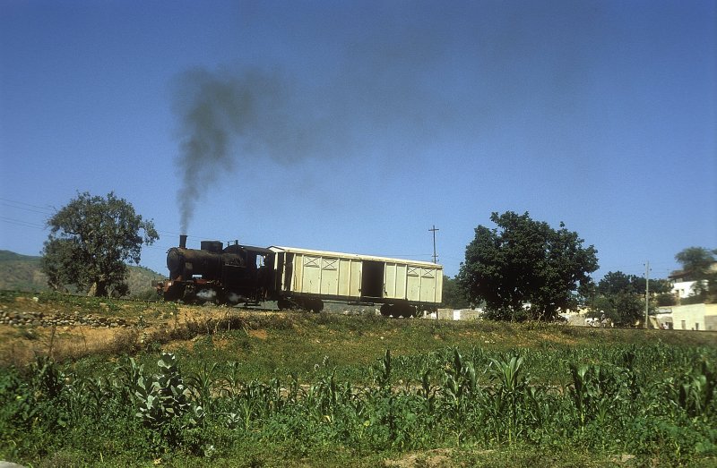 202 010  bei Ghinda  11.02.05